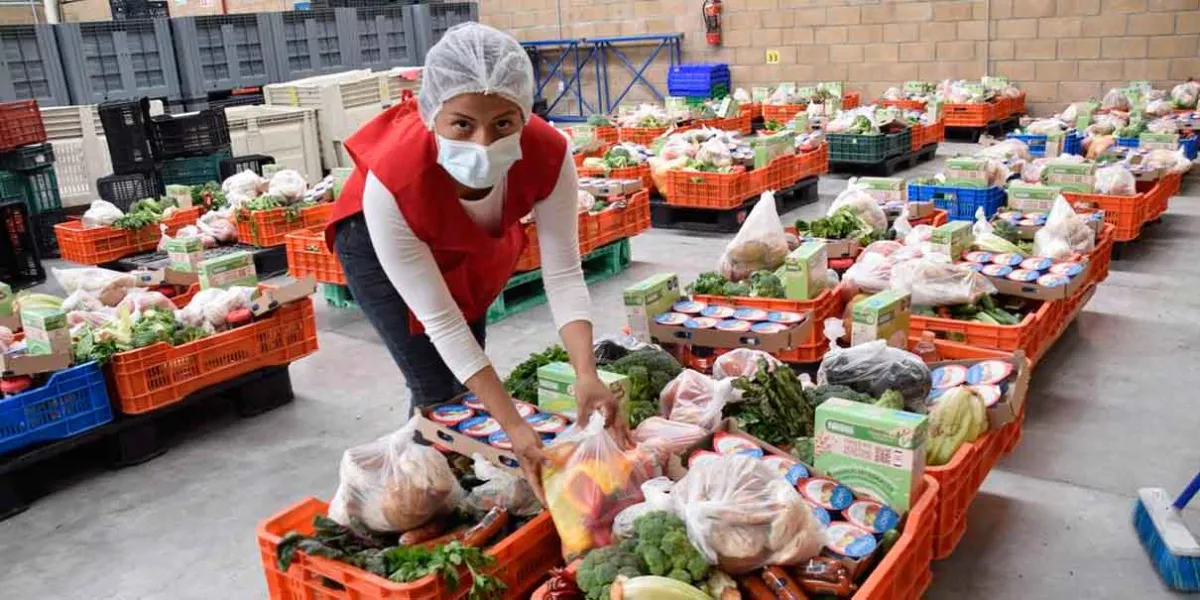 México, líder en desperdicio de comida en América Latina: cada minuto se tiran dos tráilers de alimentos