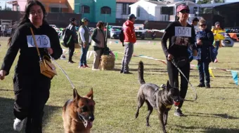 Carrera “Patitas Fugaces 2025” en Atlixco: diversión y ejercicio saludable con perros