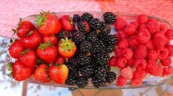 Inauguran sexta Feria de Los Berries en San Diego Buenavista, Puebla