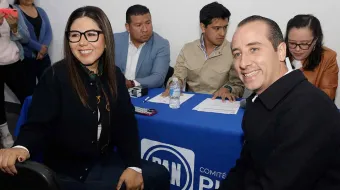 La elección de Acción Nacional