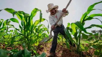 Este mes productores de la capital recibirán apoyos agrícolas