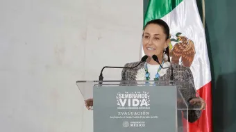 Reforma electoral de Sheinbaum, va