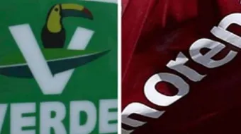 Se mantendrá la alianza electoral entre Ecologistas y Morena para 2027