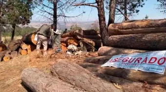 Detectan en Zacatlán un nuevo horno clandestino para deshidratación de madera