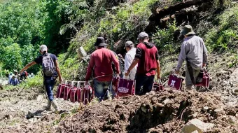 La edil de Zihuateutla podría ser expulsada de Morena por entregar apoyos en bolsas de la 4T