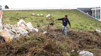 Maleza de zona protegida ya cubrió el techo del Congreso; el INAH debe autorizar su retiro