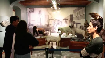 Puebla prepara Gran Noche de Museos durante Día de Muertos