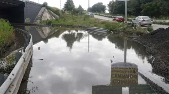 Tormentas han derribado 121 árboles y han dejado 30 zonas inundadas en la ciudad 
