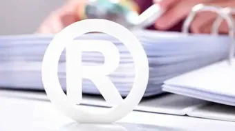 Empresas mexicanas impulsan el registro de marcas: IMPI reporta 8 de cada 10 solicitudes