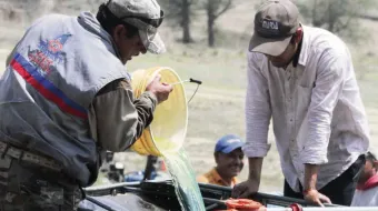 Huachicol, una historia sin fin