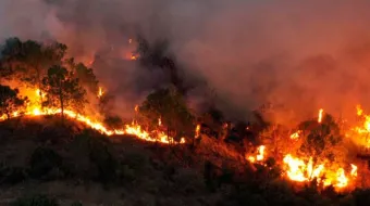 Puebla cerró temporada de incendios forestales con 304 casos