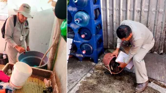 Luchan contra propagación del Dengue en Xicotepec