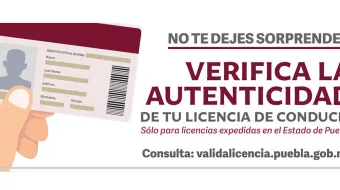 Ya hay cuatro denuncias por falsificación de licencias de conducir 
