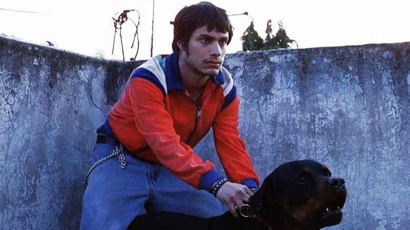 “Amores Perros” y su legado tras 25 años de su llegada a carteleras