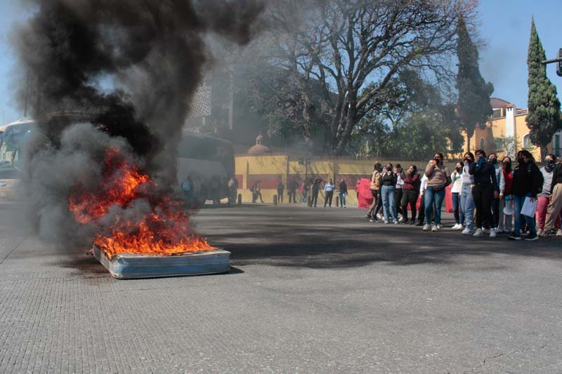 El vandalismo debe ser castigado con la ley: Artemisa