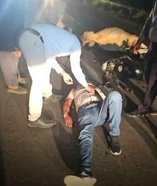 Accidente en la carretera Pachuca-Tuxpan deja motociclista fracturado tras impactar una vaca
