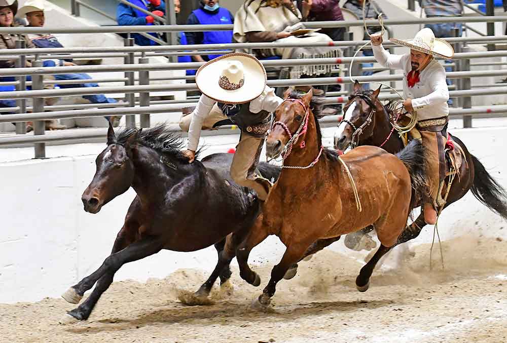 Aguascalientes declara corridas de toros y peleas de gallos como patrimonio cultural