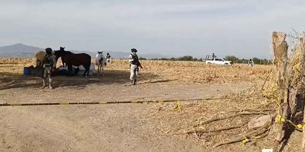 Autoridades amplían investigación al rancho La Vega en Teuchitlán