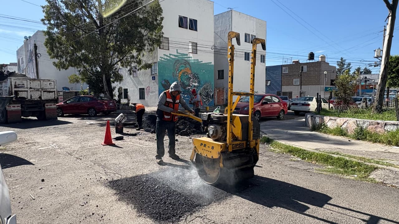 Bacheo