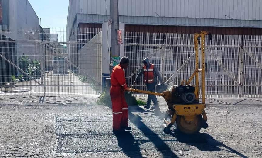 Bacheo