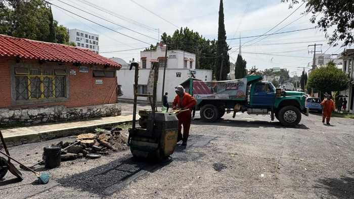 Bacheo