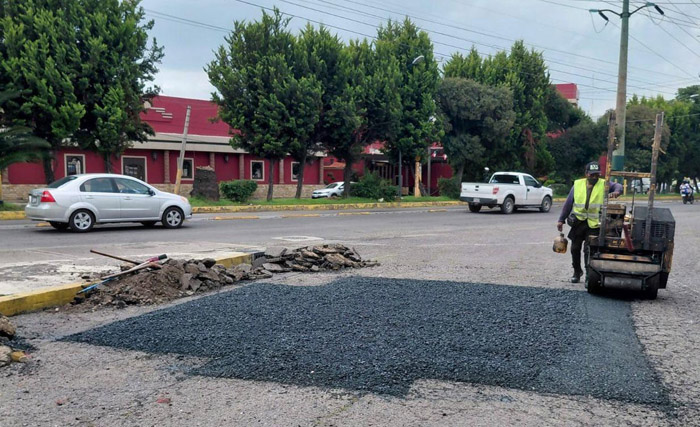 Bacheo