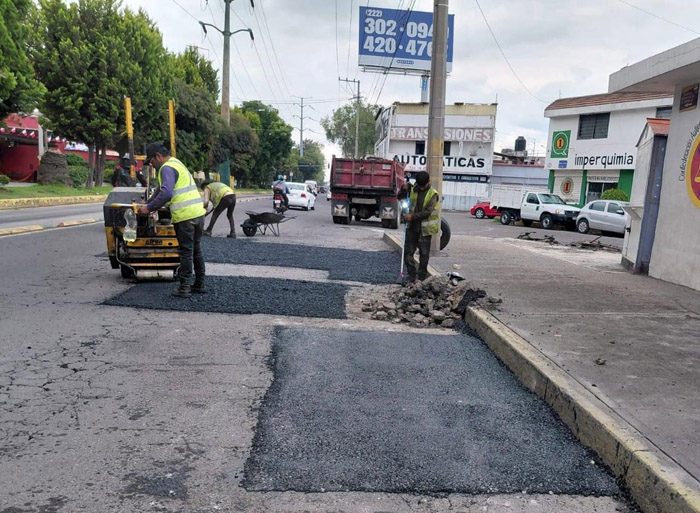 Bacheo