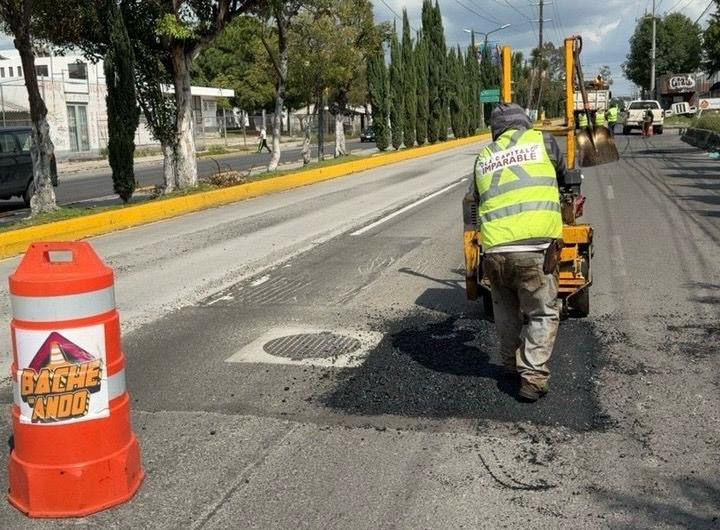 bacheo