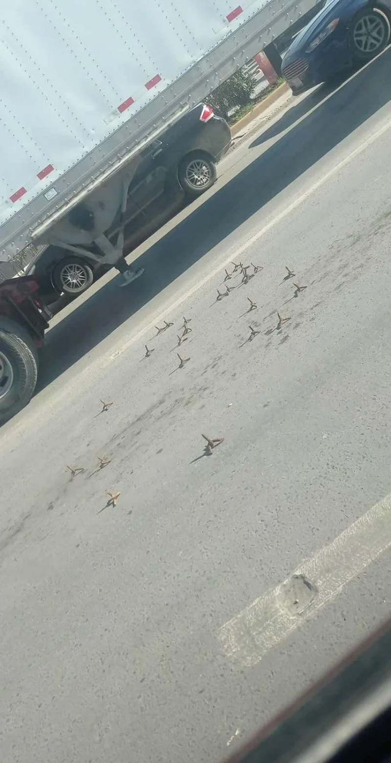 Balaceras y bloqueos en Matamoros: ponchallantas y vehículos incendiados paralizan la ciudad