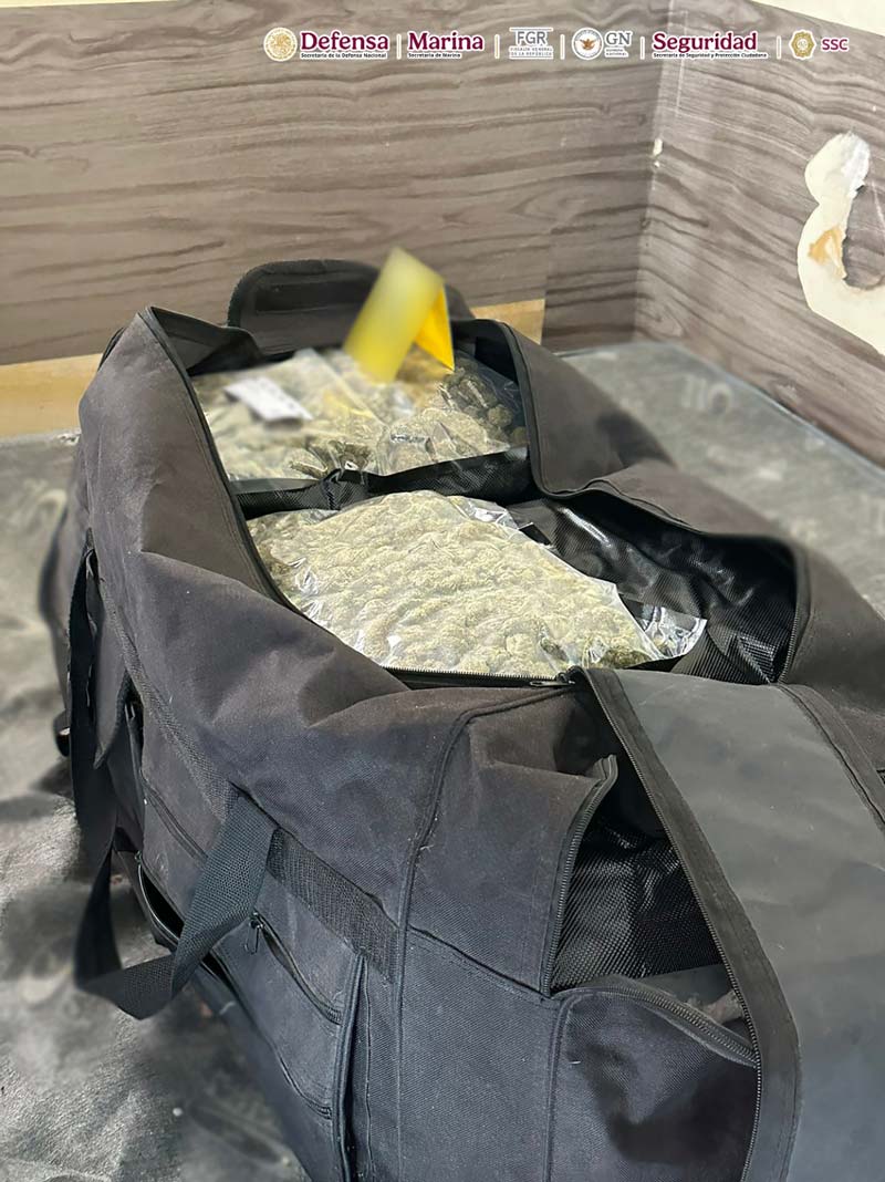 CDMX: cae líder de La Familia Michoacana con red internacional de mariguana "de diseño"