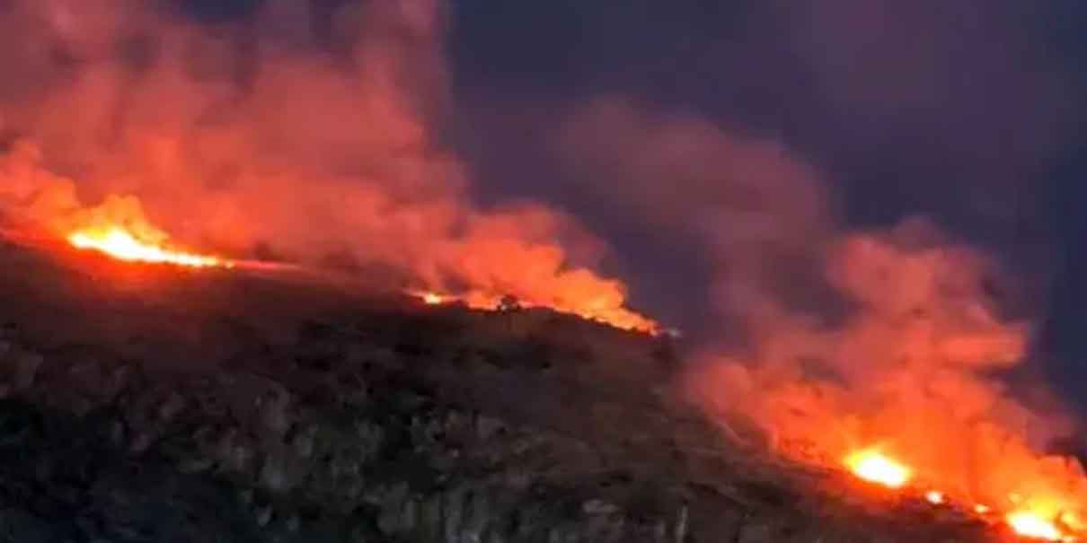 Capturan a responsables de incendios forestales en Libres y Citlaltépetl