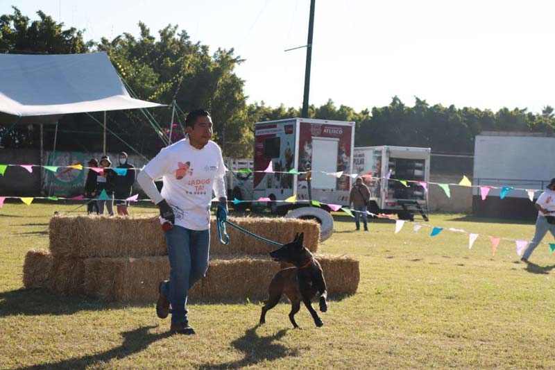 Carrera “Patitas Fugaces 2025” en Atlixco: diversión y ejercicio saludable con perros