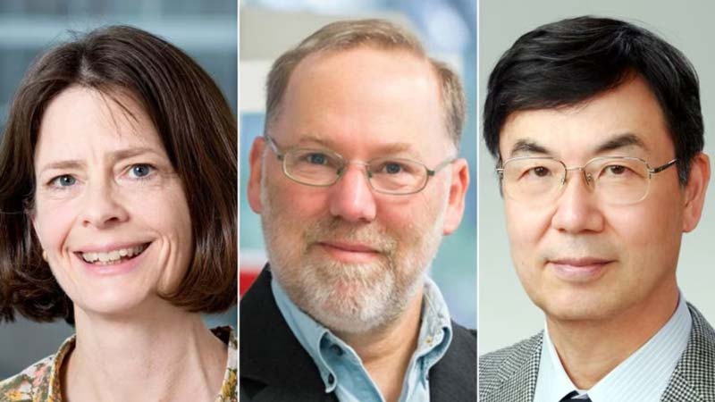 Científicos ganan Nobel de Medicina 2025 por revelar el mecanismo de autodefensa del cuerpo