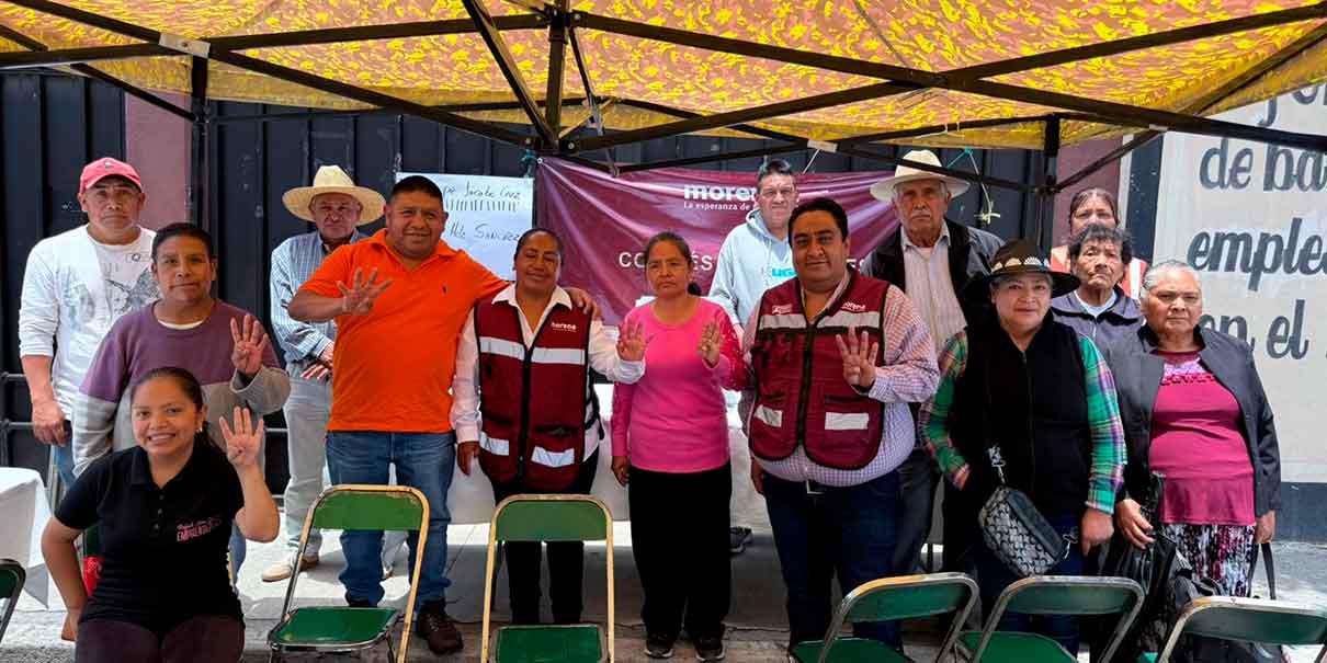 Comités Seccionales de la 4T