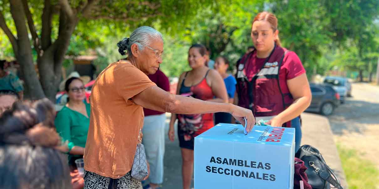 Comités Seccionales de la 4T