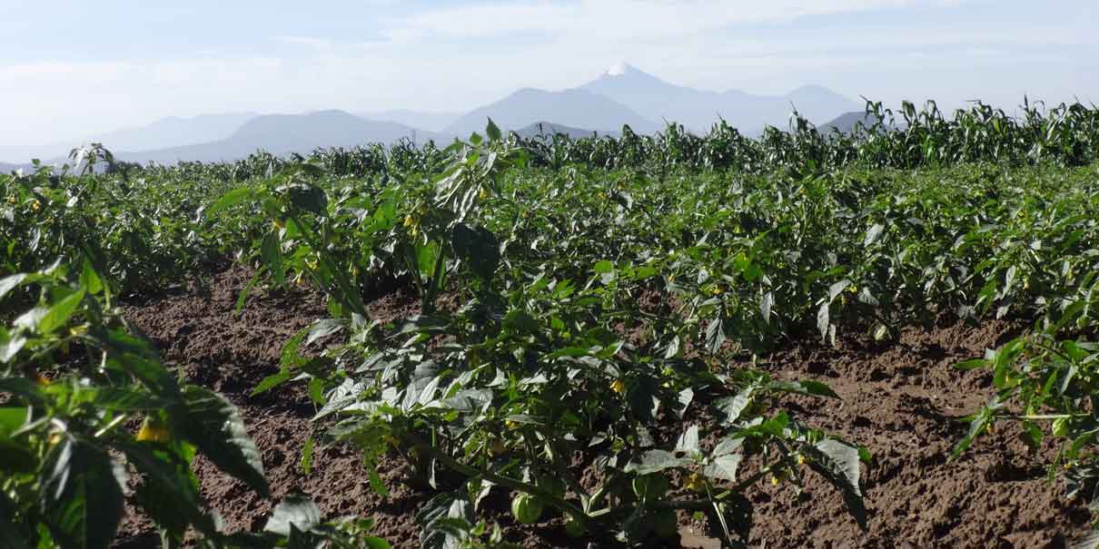 Histórica inversión al campo poblano para acabar con el rezago