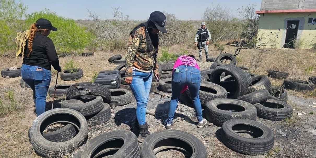 Nuevo hallazgo en Reynosa: colectivos localizan restos humanos en un campo de exterminio
