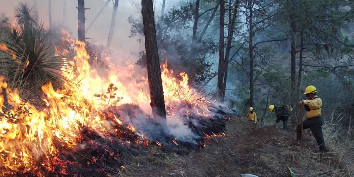 Capturan a responsables de incendios forestales en Libres y Citlaltépetl