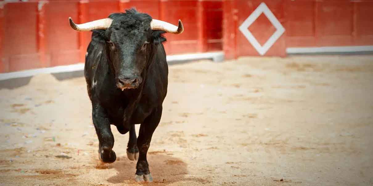 Jaime Natale denuncia ataques por impulsar ley contra corridas de toros en Puebla