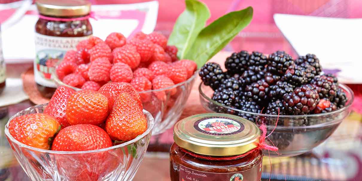 Berries