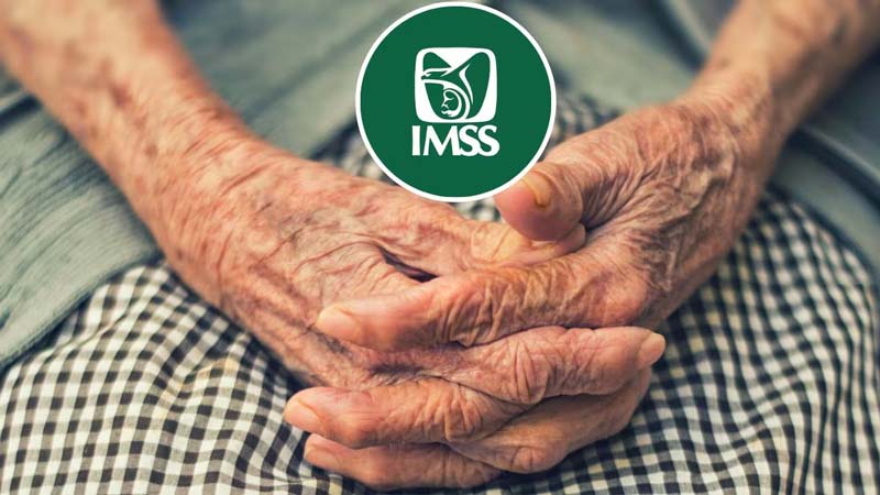 Robo masivo de datos del IMSS pone en riesgo a millones de pensionados