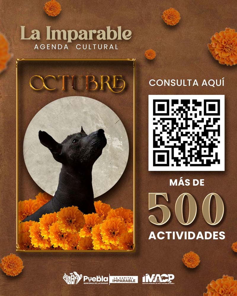 Festivales, exposiciones y cine: IMACP anuncia su agenda cultural de octubre