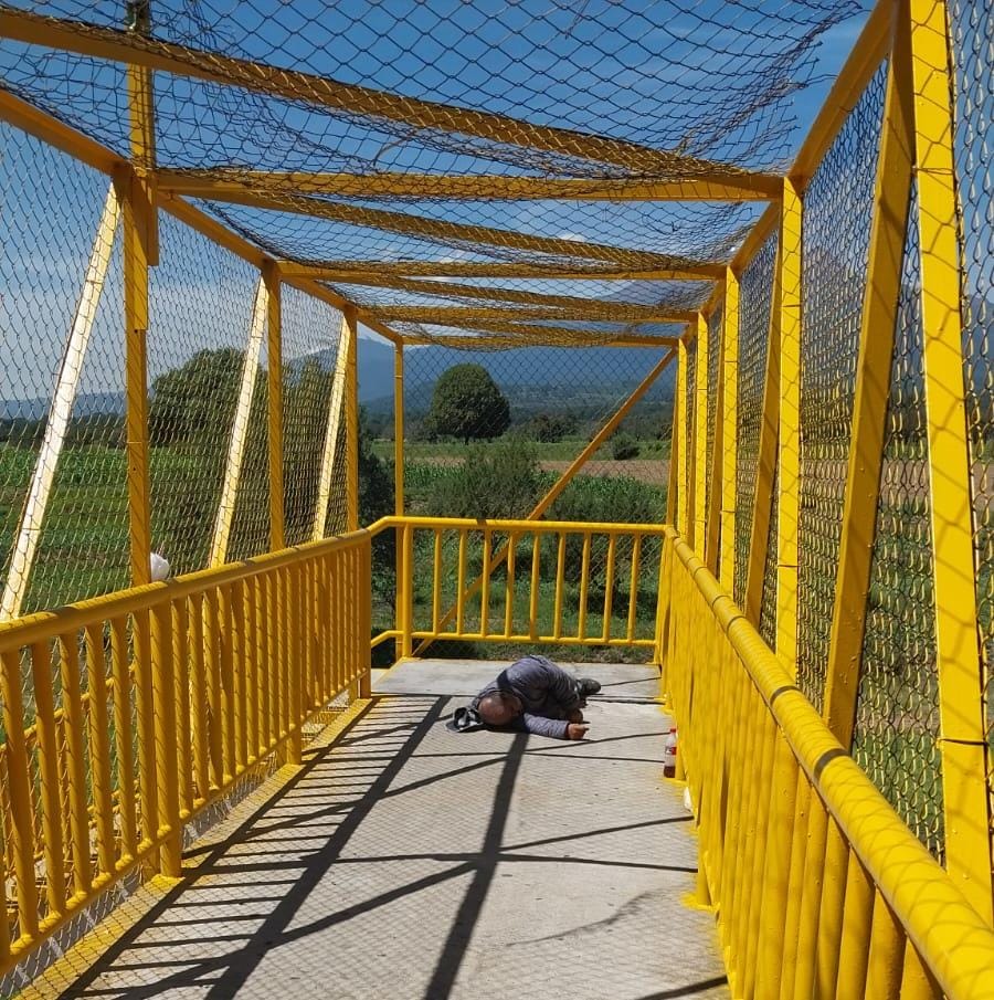 cadáver