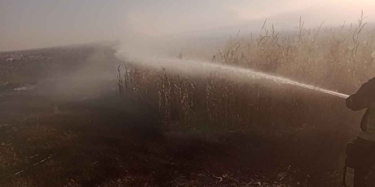 Incendio de pastizales alcanza terrenos de cultivo en el cerro de Totolqueme