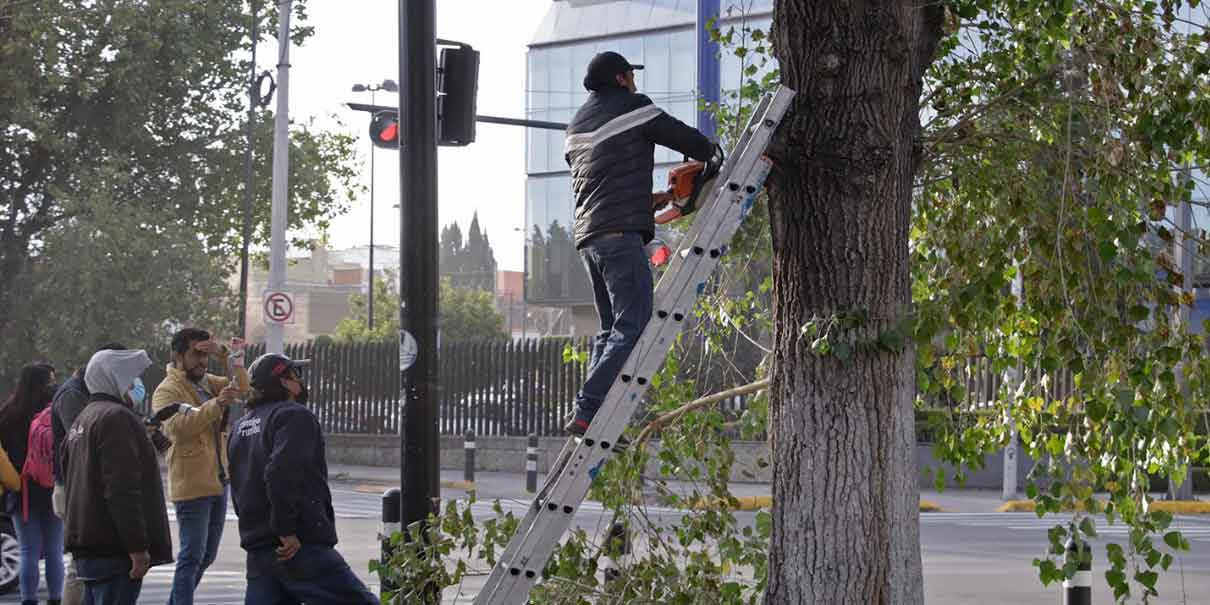Inició jornada de limpieza en más de 2 kilómetros del bulevar 5 de Mayo