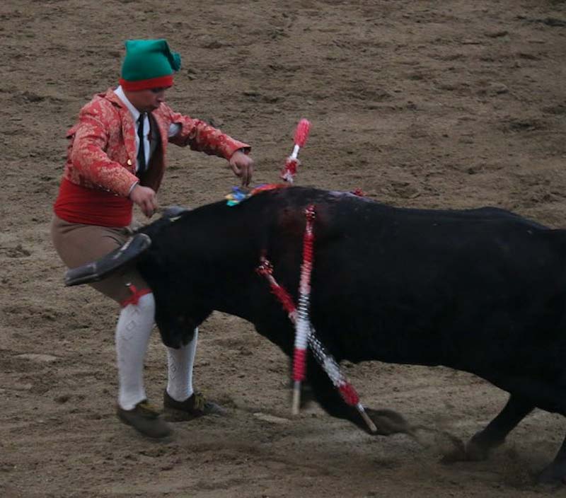Joven torero pierde muere tras ser embestido por un toro de media tonelada