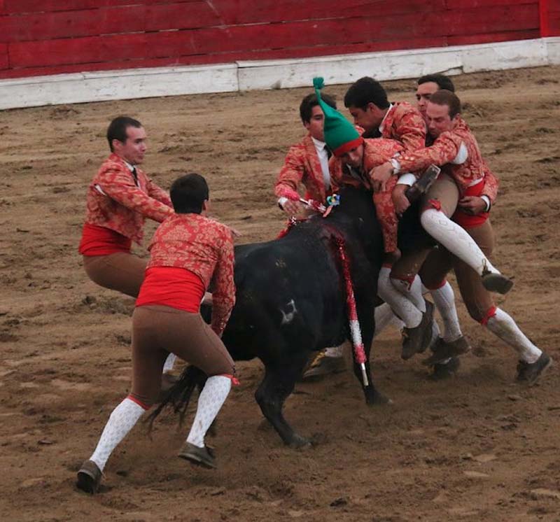 Joven torero pierde muere tras ser embestido por un toro de media tonelada