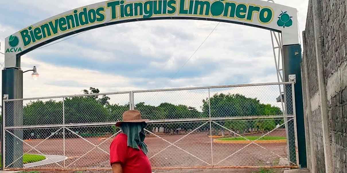Limoneros