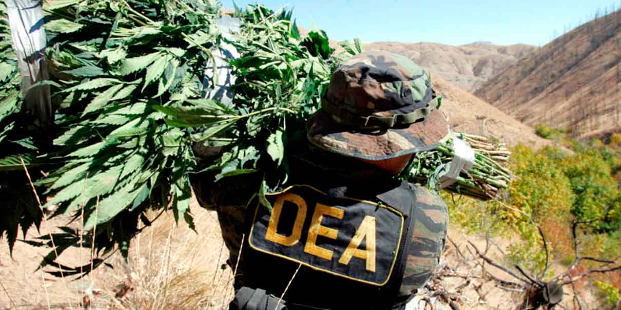 DEA