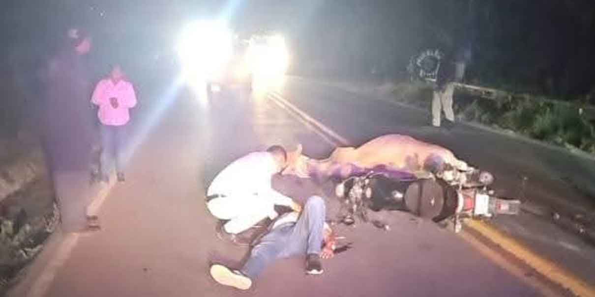 Accidente en la carretera Pachuca-Tuxpan deja motociclista fracturado tras impactar una vaca